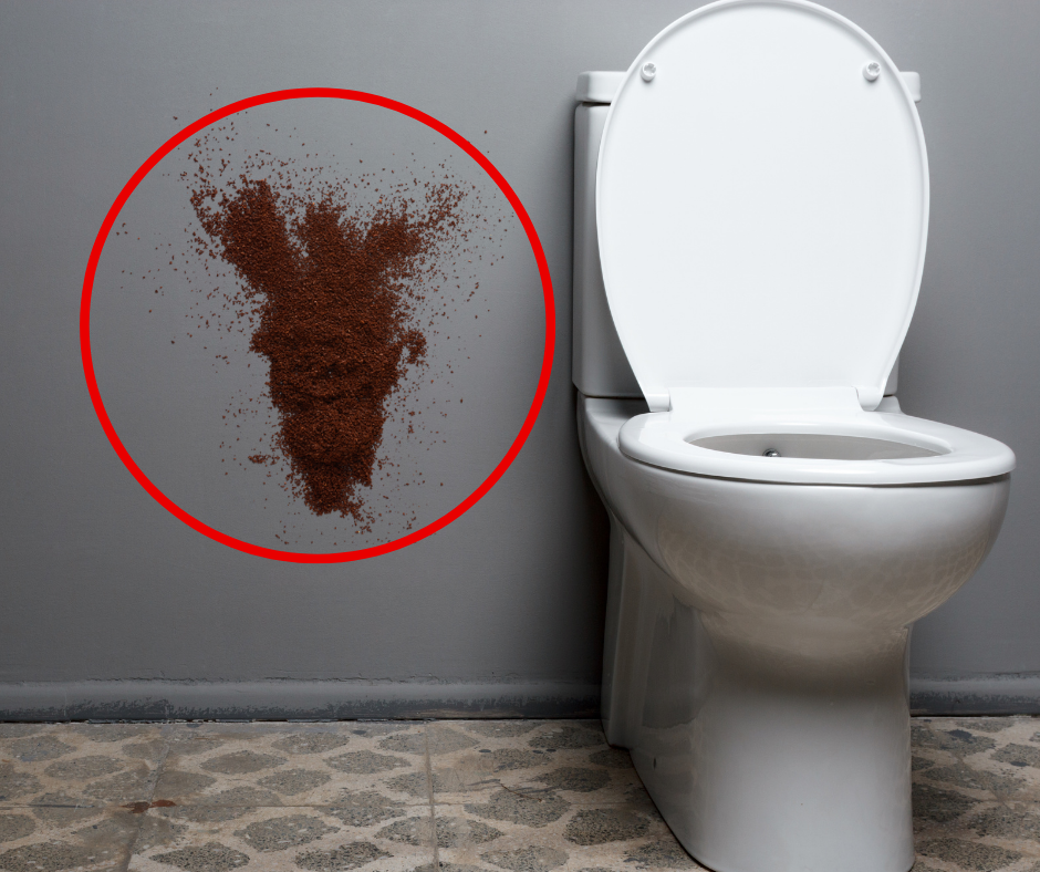 marc de café dans les toilettes