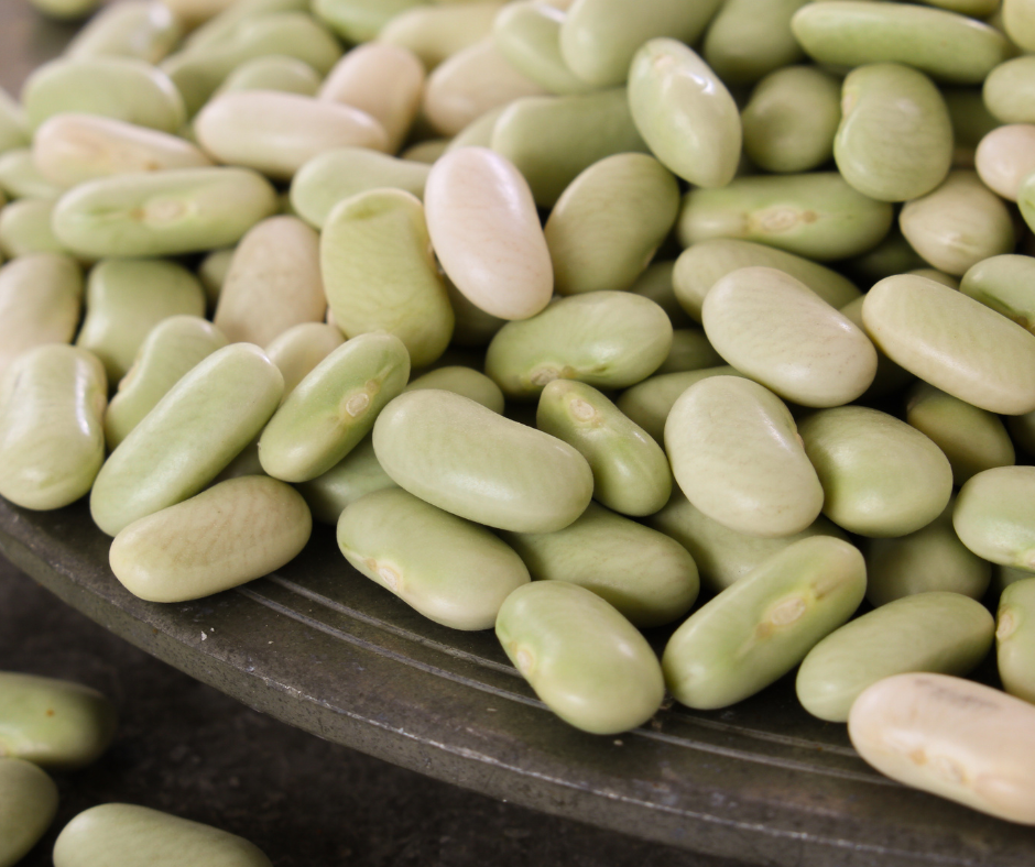 cuisiner les flageolets