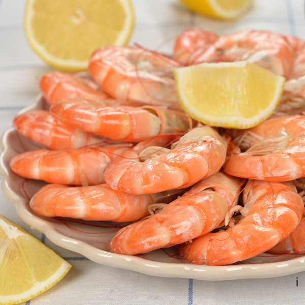 conservation des crevettes