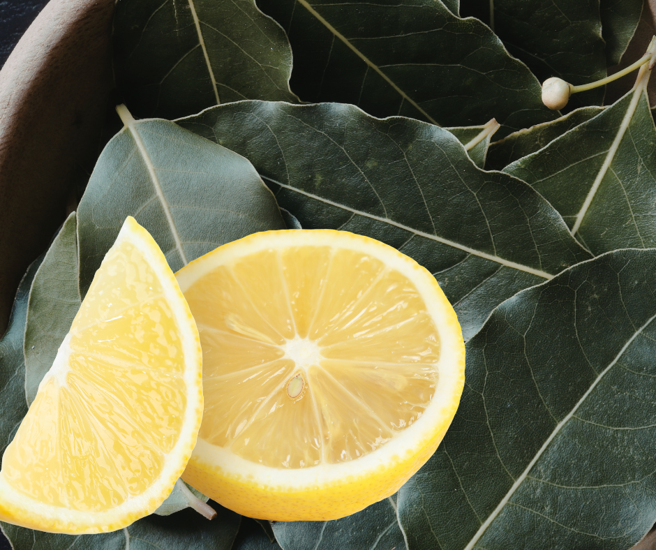 feuilles de laurier et citron